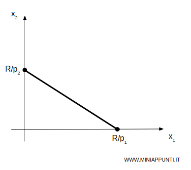 il vincolo di bilancio