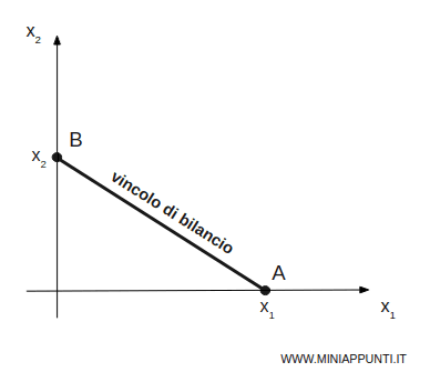 il vincolo di bilancio o retta di bilancio