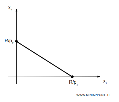 il vincolo di bilancio